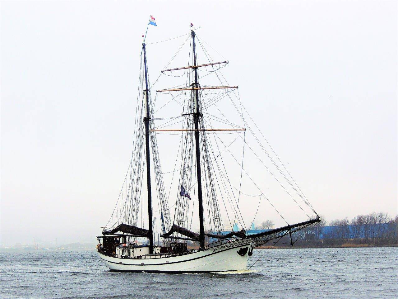 BISSCHOP VAN ARKEL BISSCHOP VAN ARKEL