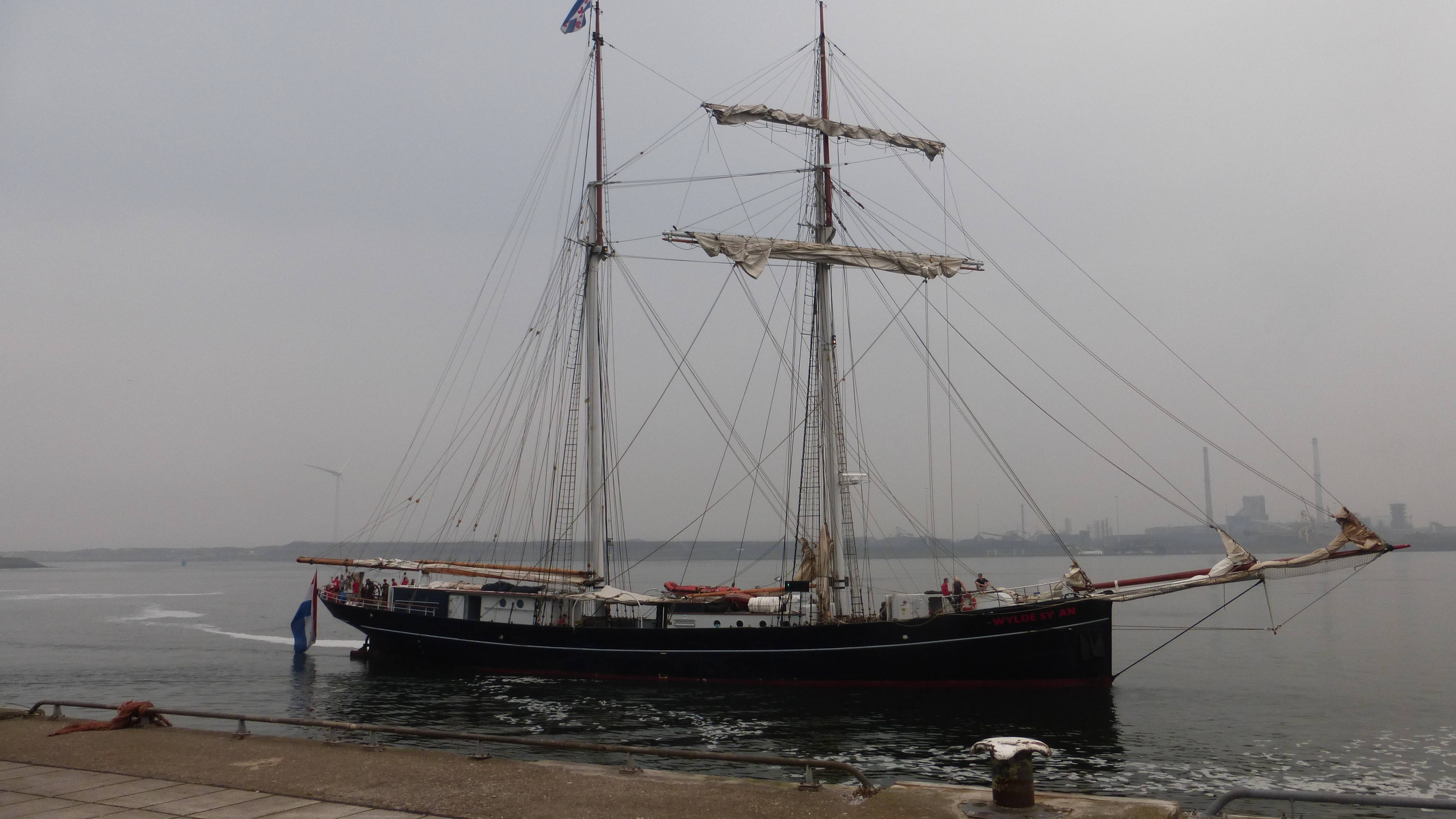WYLDE SWAN WYLDE SWAN