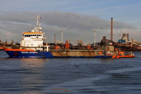 VOLVOX OLYMPIA