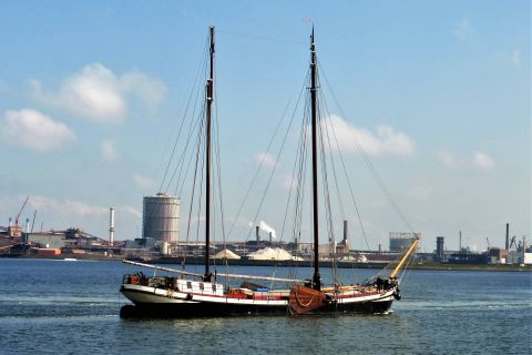 EENSGEZINDHEID