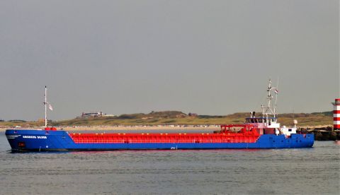 Amadeus Silver