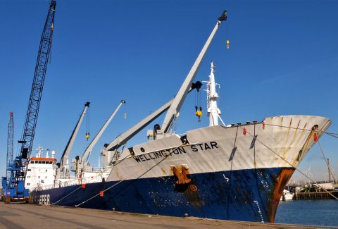 WELLINGTON STAR