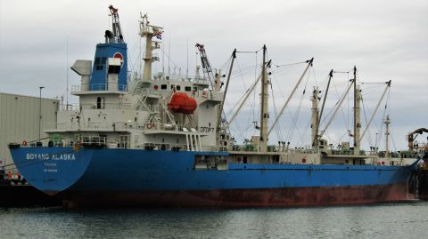 BOYANG ALASKA