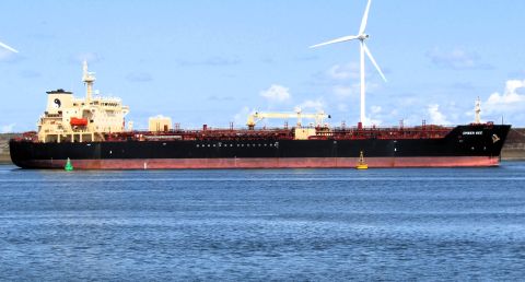AMBER BEE in IJmuiden, 20 jul 2023