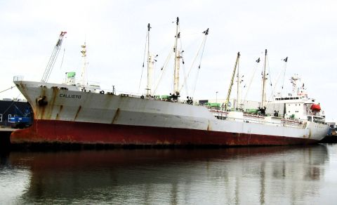CALLISTO (reefer)