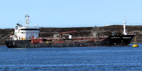 FALSTRIA SWAN
