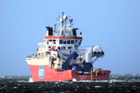 EDT Protea