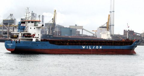 Wilson Gdynia