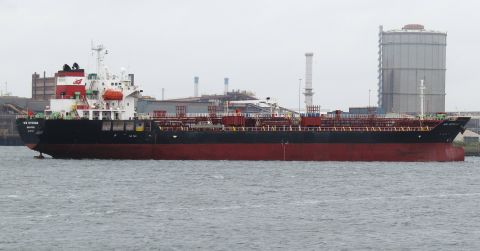 MTM ROTTERDAM
