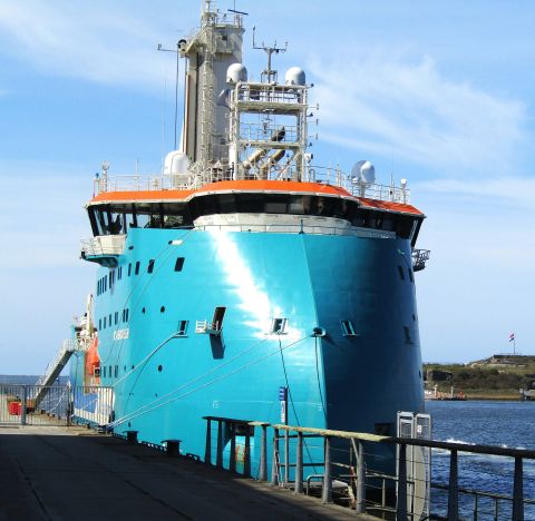 ACTA HERCULES