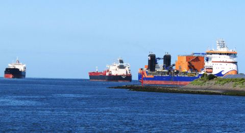 Pieren IJmuiden 01-07-26 in IJmuiden, 1 jul 2026