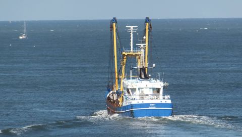 VLI-25 CINDY