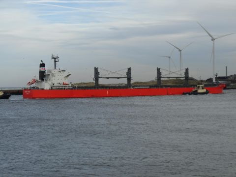 Global Oriole in IJmuiden, 29 dec 2012