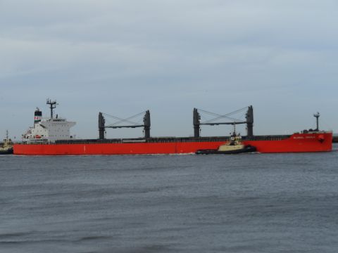 Global Oriole in IJmuiden, 29 dec 2012