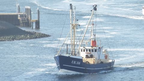 UK156 POOLSTER