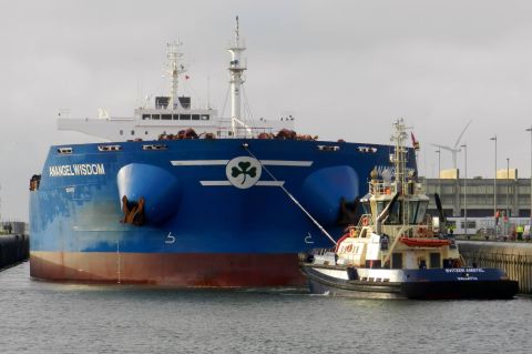 ANANGEL WISDOM in IJmuiden, 12 nov 2015