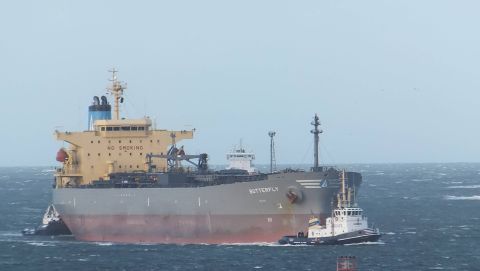 BUTTERFLY in IJmuiden, 13 nov 2015