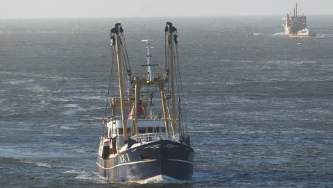 UK-1 ALBERT