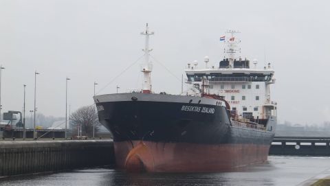 Besiktas Zealand in IJmuiden, 7 dec 2015