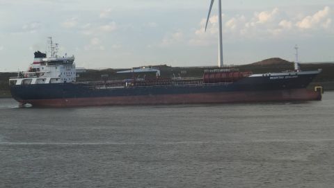 Besiktas Zealand in IJmuiden, 24 feb 2016