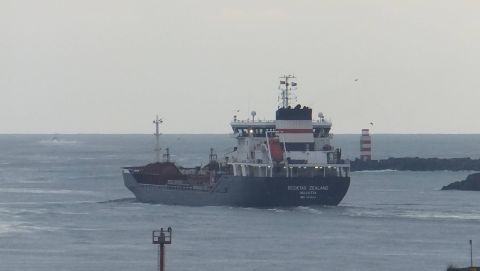 Besiktas Zealand in IJmuiden, 26 feb 2016