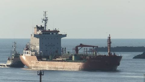 LADY DAHLIA in IJmuiden, 29 feb 2016
