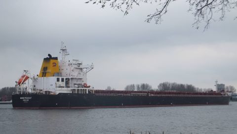 Miho Pracat in IJmuiden, 3 apr 2016