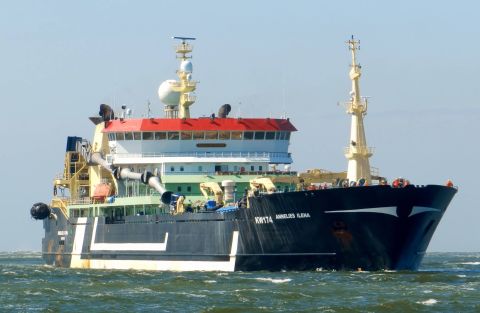 ANNELIES ILENA KW-174