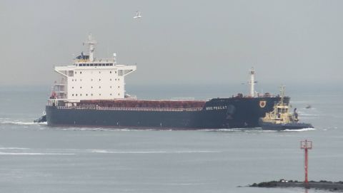 Miho Pracat in IJmuiden, 10 mei 2016