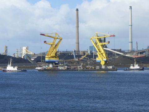 Condor En Zeearend