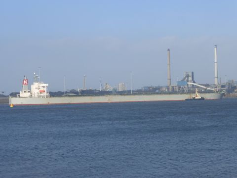 Cape Dover