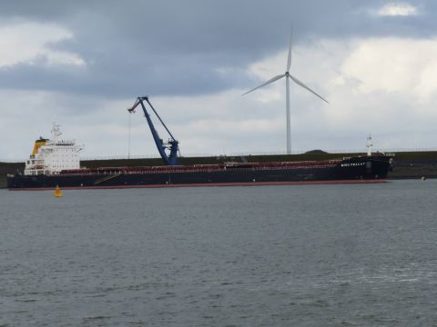 Miho Pracat in IJmuiden, 21 feb 2015