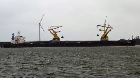 BULK KYUSHU