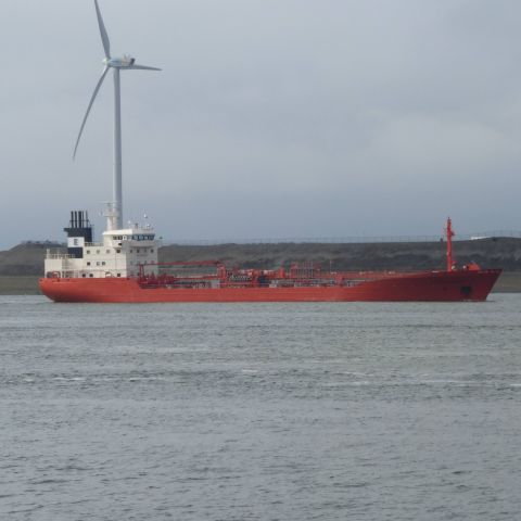 Dutch Emmerald
