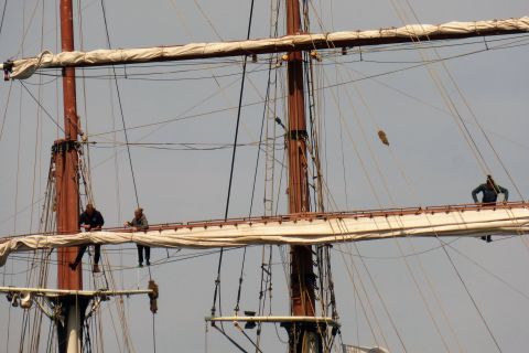 Gulden Leeuw
