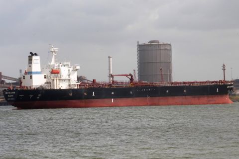 SEA HALCYONE