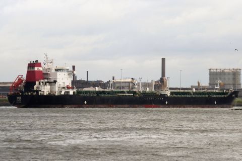 ANCE in IJmuiden, 26 okt 2019