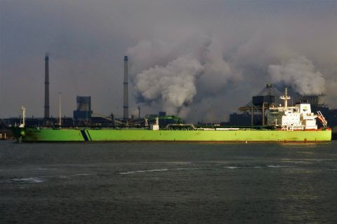BW YARRA