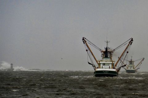 We Gaan Maar Weer Vissen