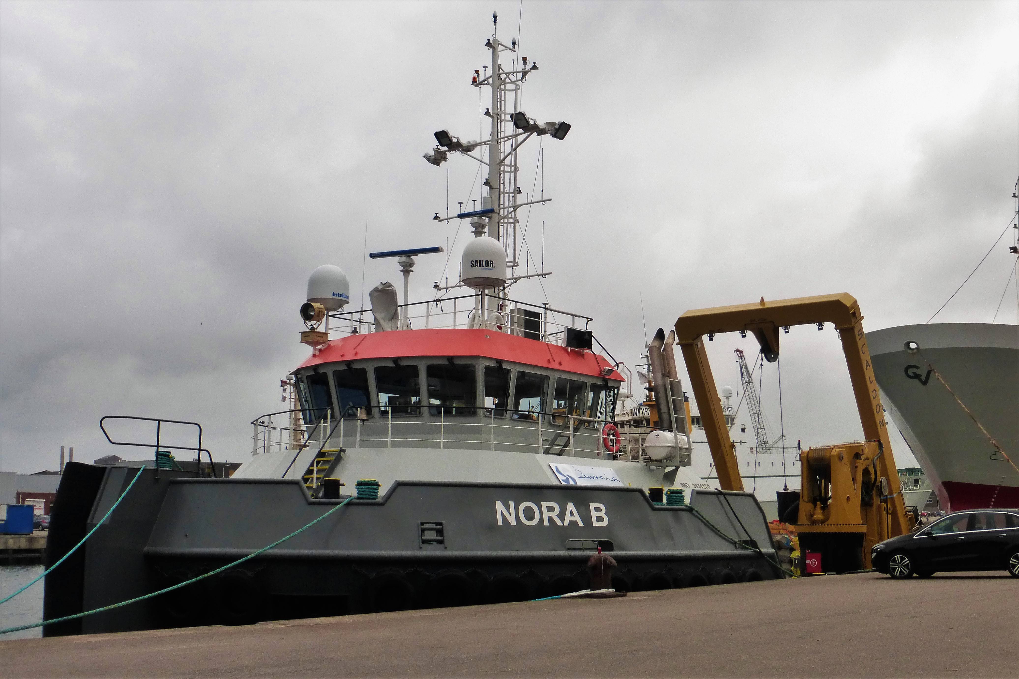 NORA B NORA B