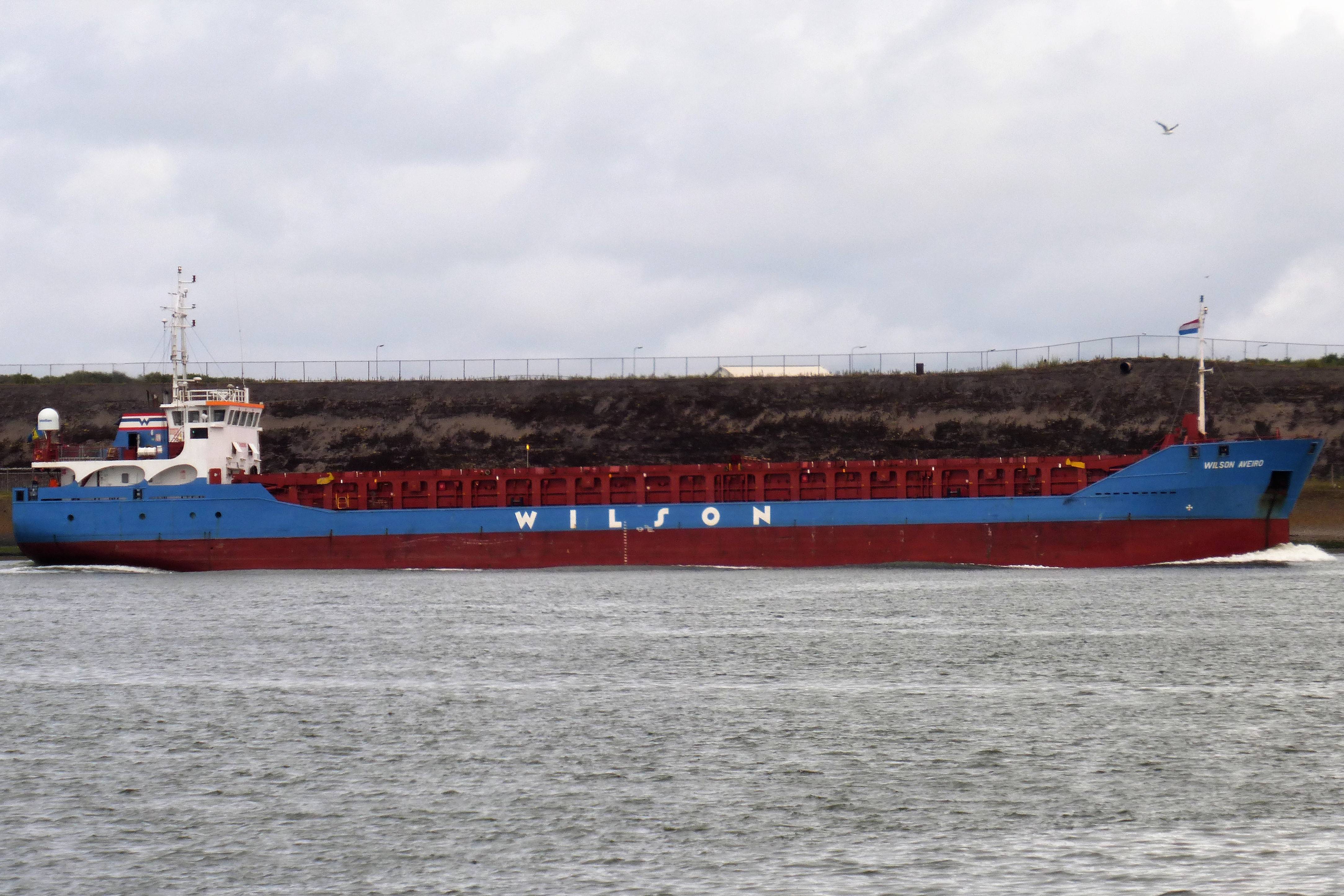 WILSON AVEIRO WILSON AVEIRO