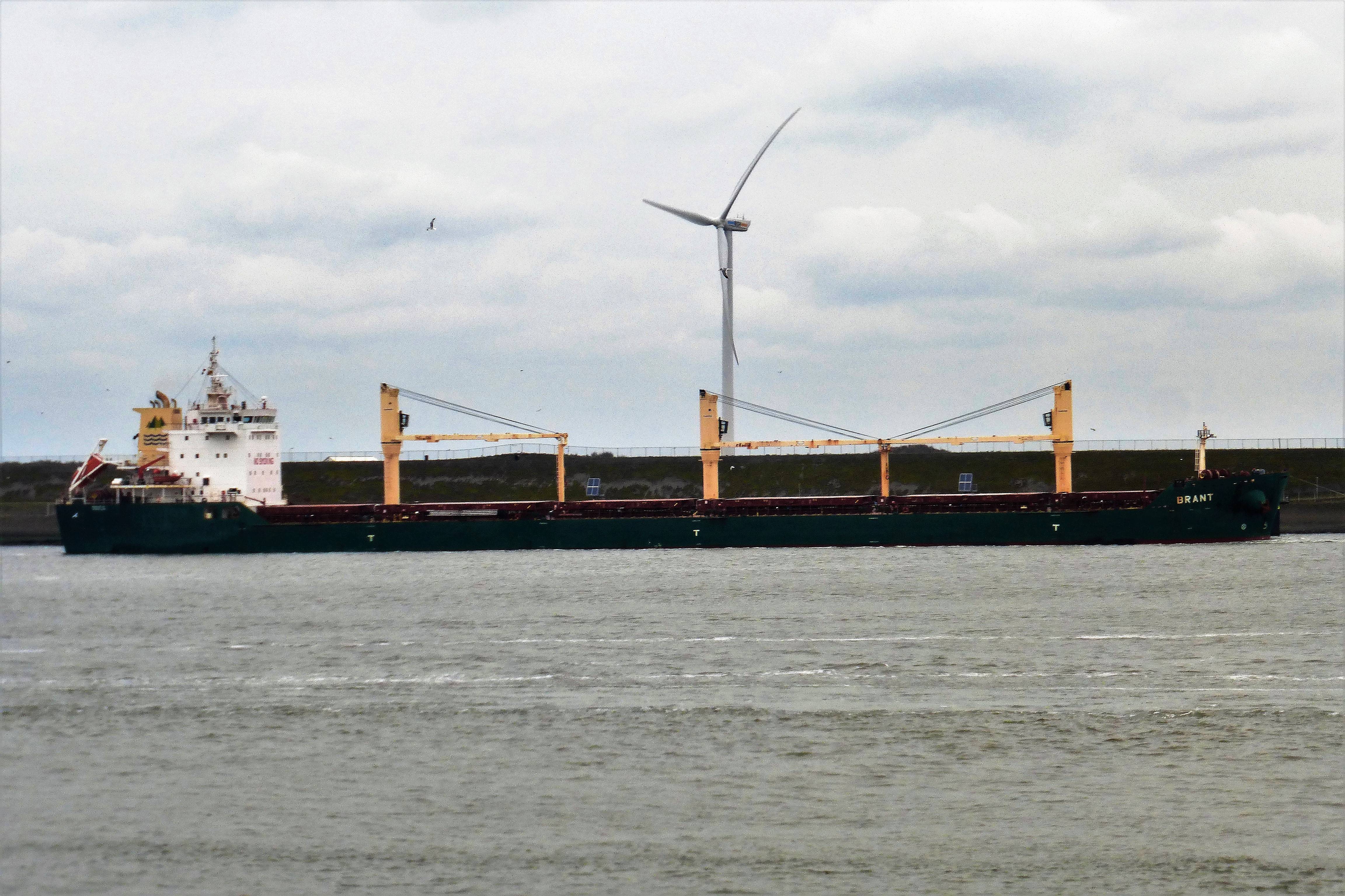 BRANT BRANT