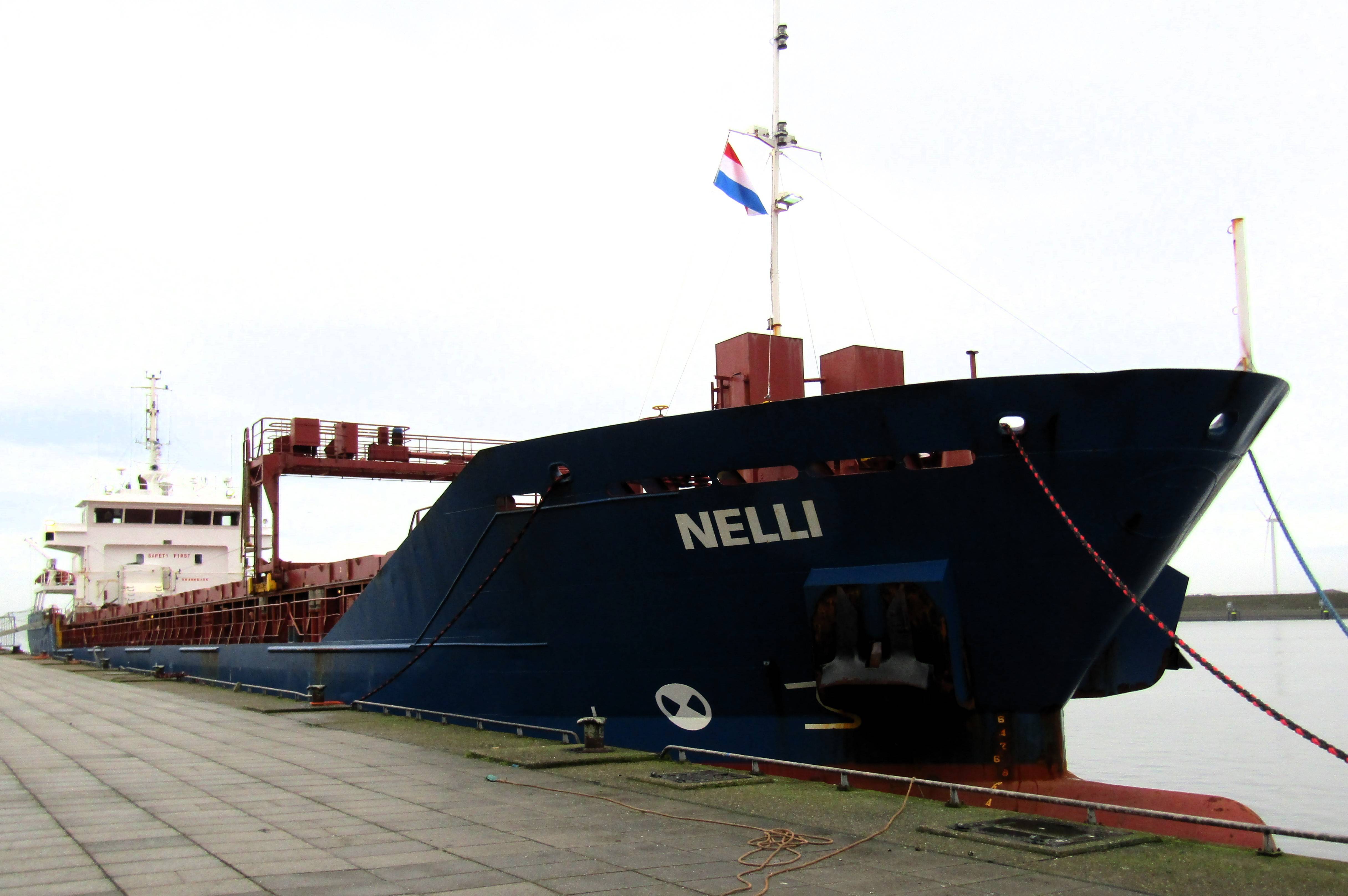NELLI NELLI