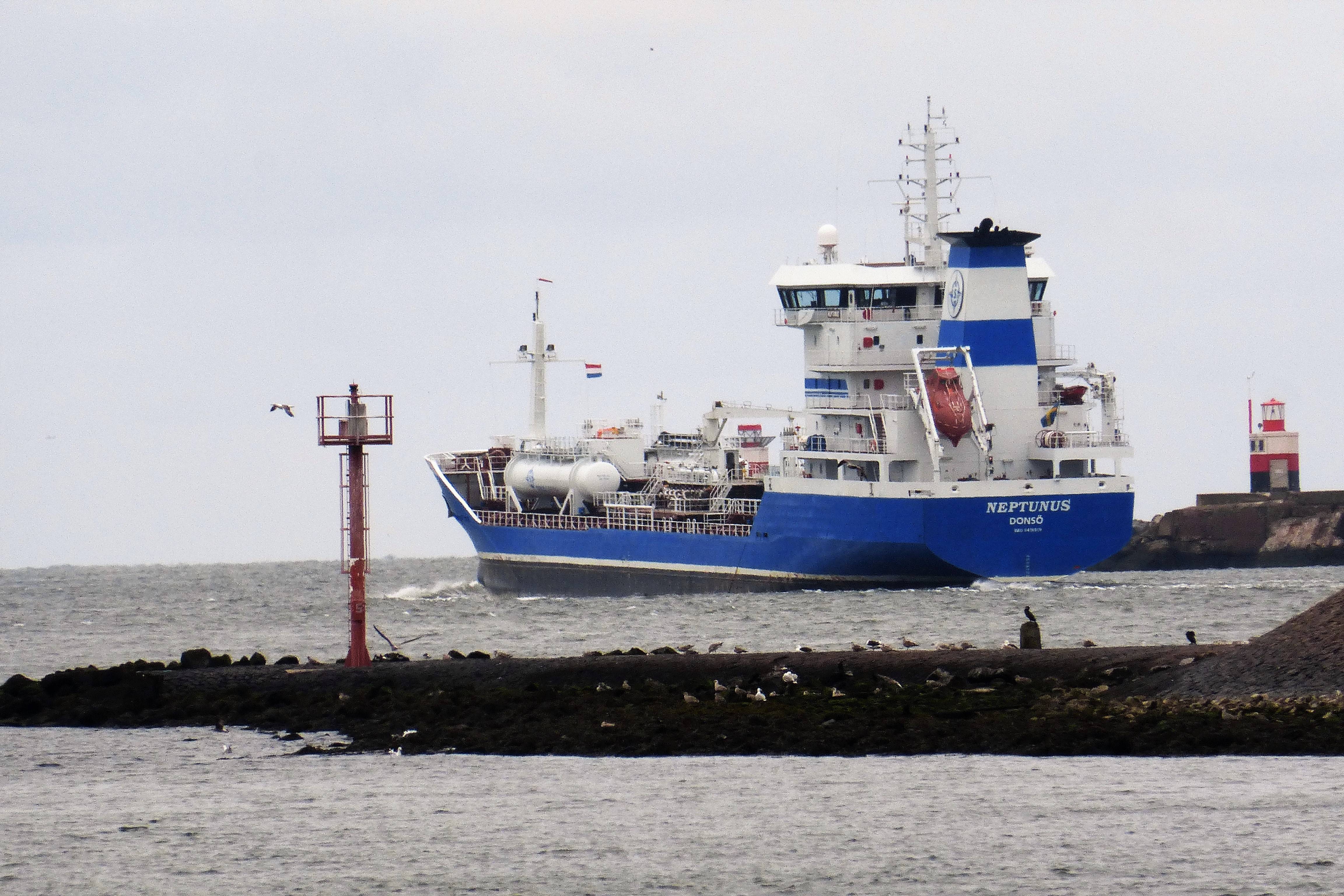 NEPTUNUS NEPTUNUS
