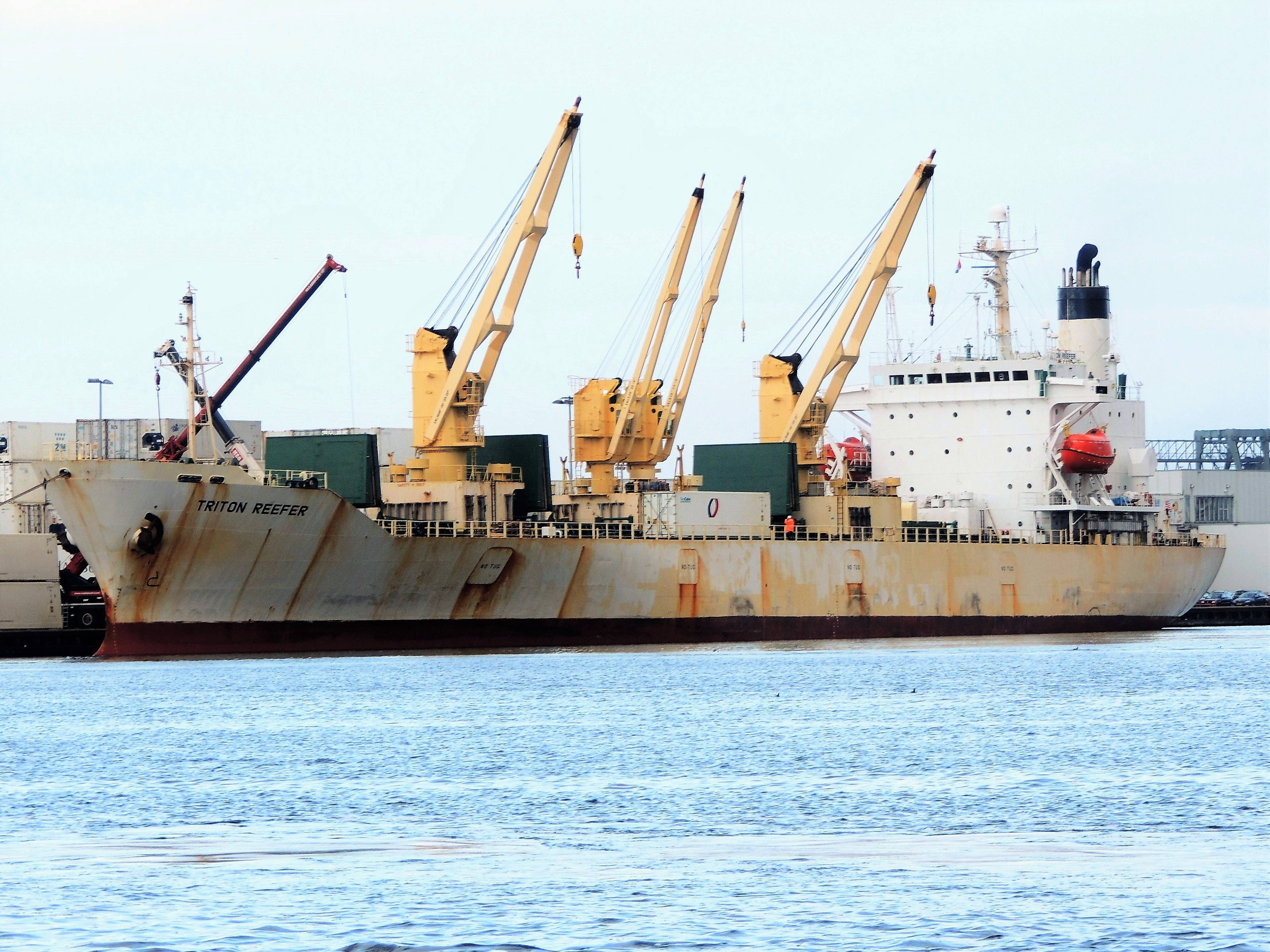 TRITON REEFER TRITON REEFER