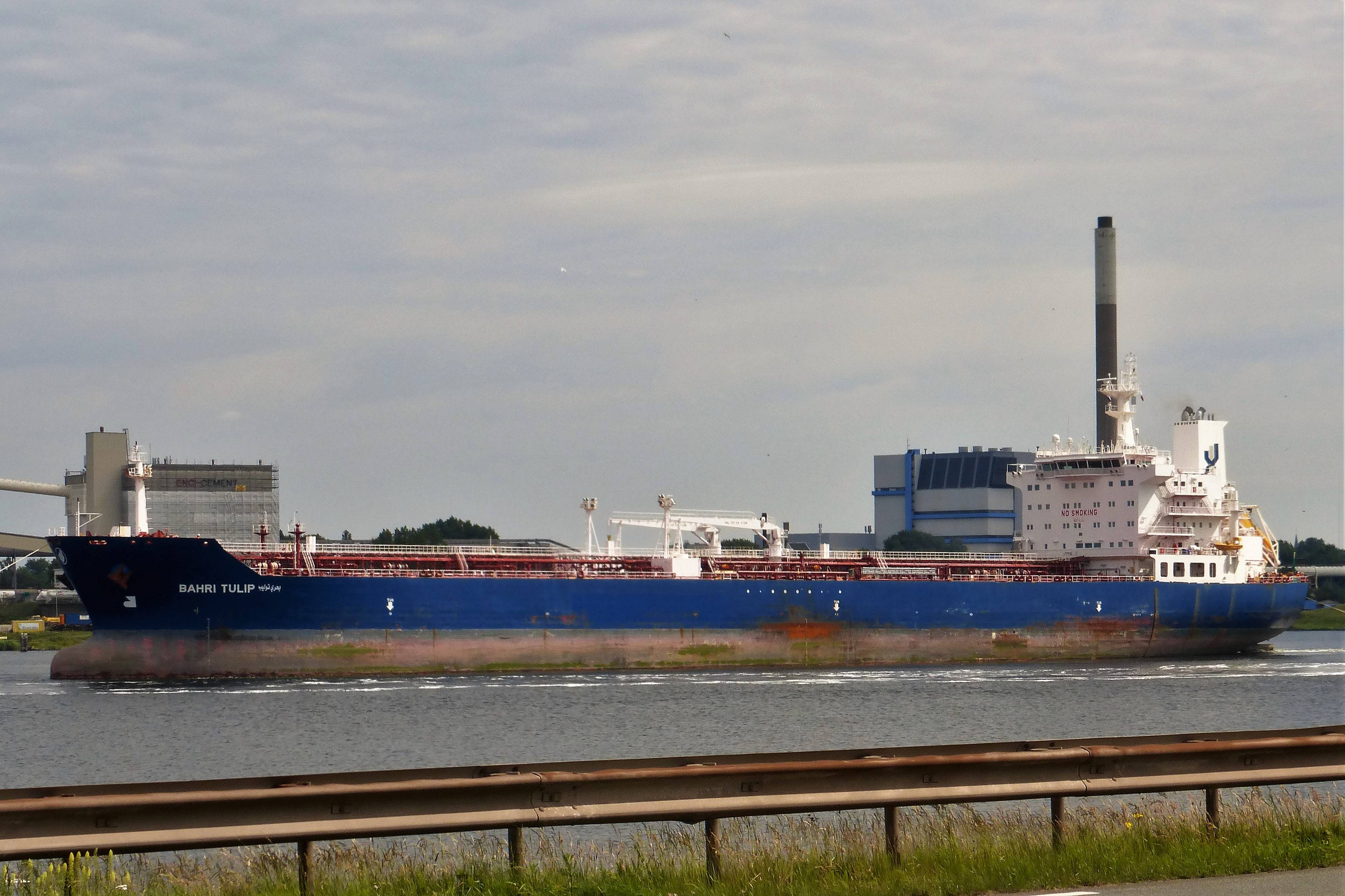BAHRI TULIP BAHRI TULIP