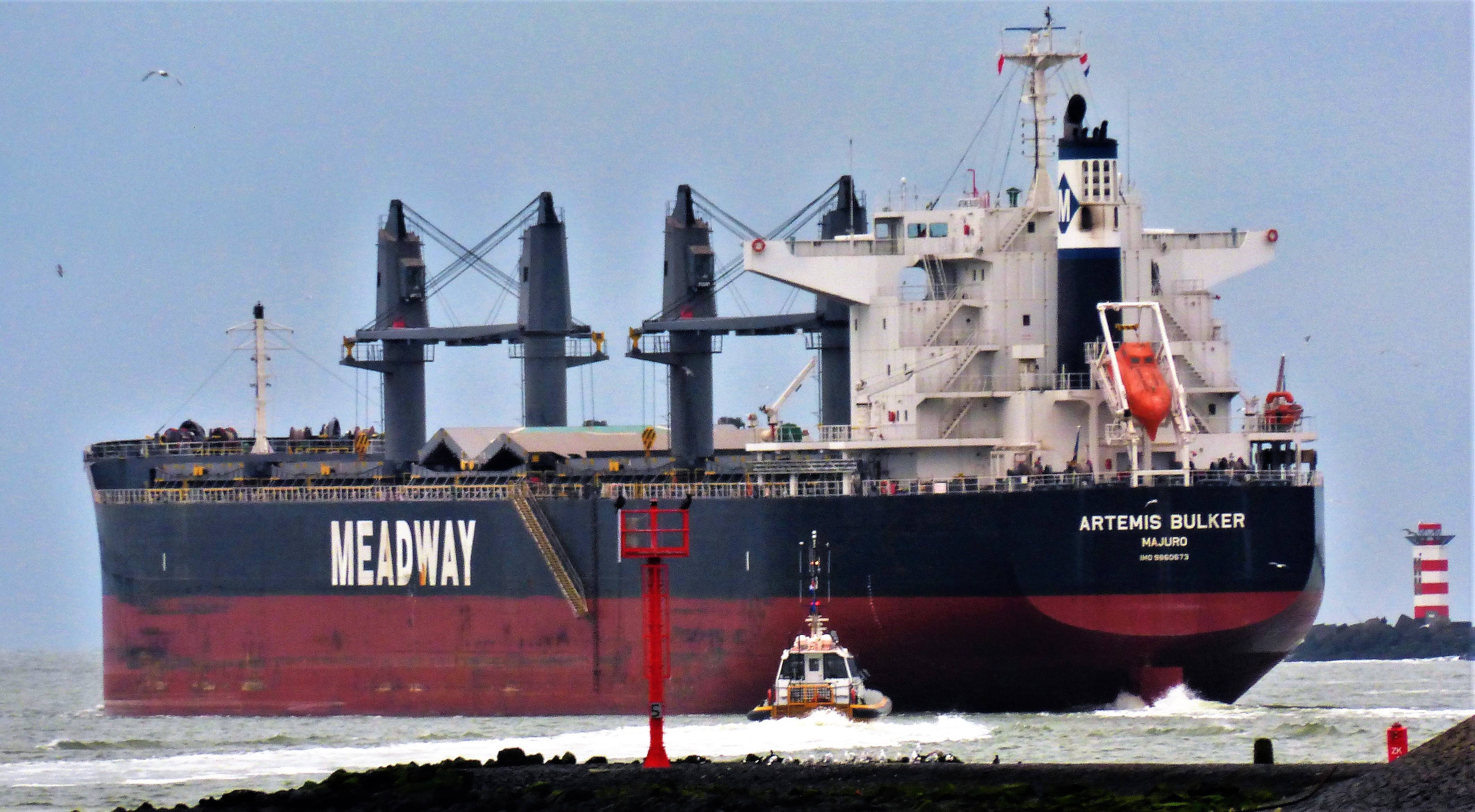 ARTEMIS BULKER ARTEMIS BULKER