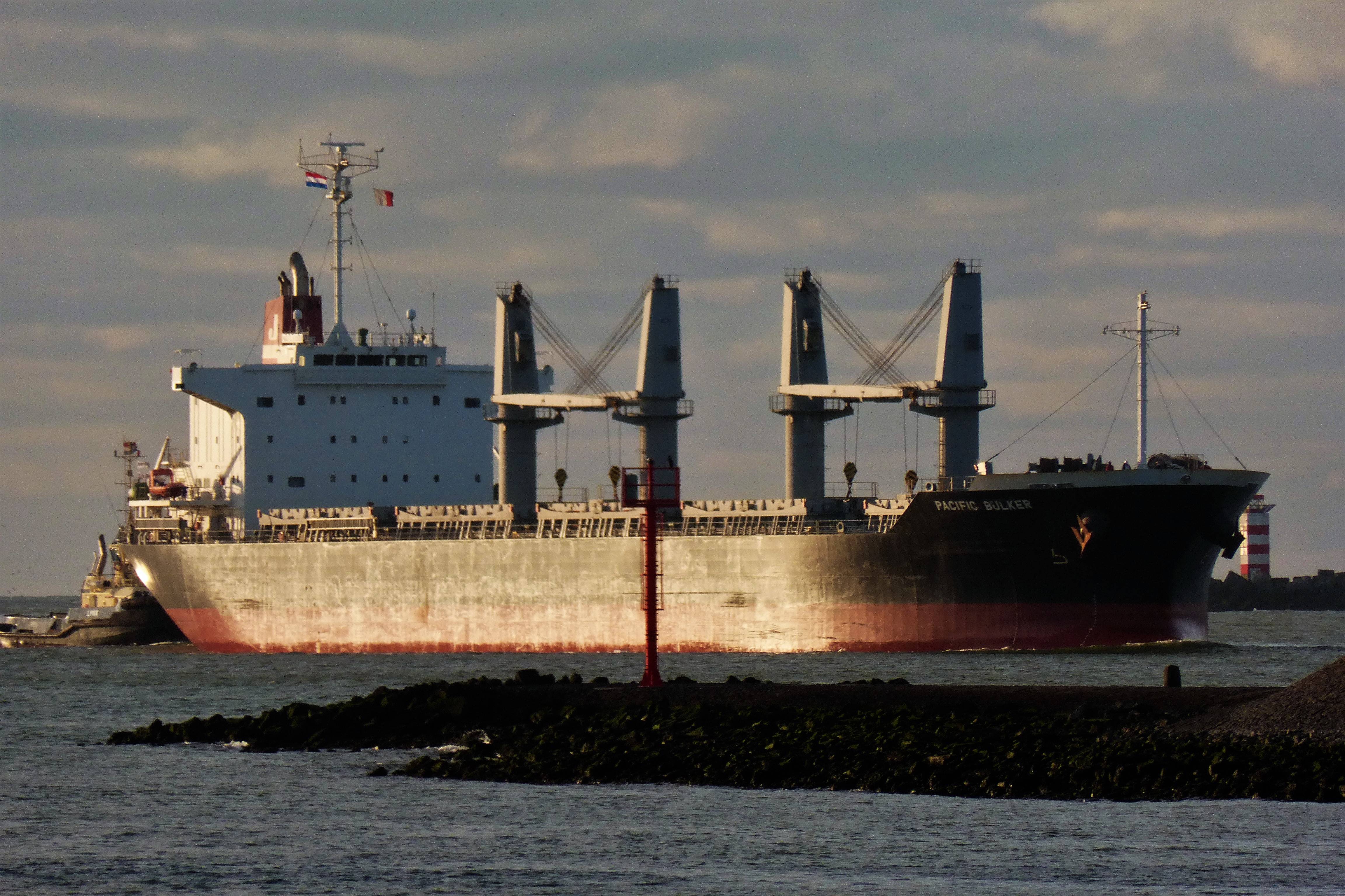 PACIFIC BULKER PACIFIC BULKER