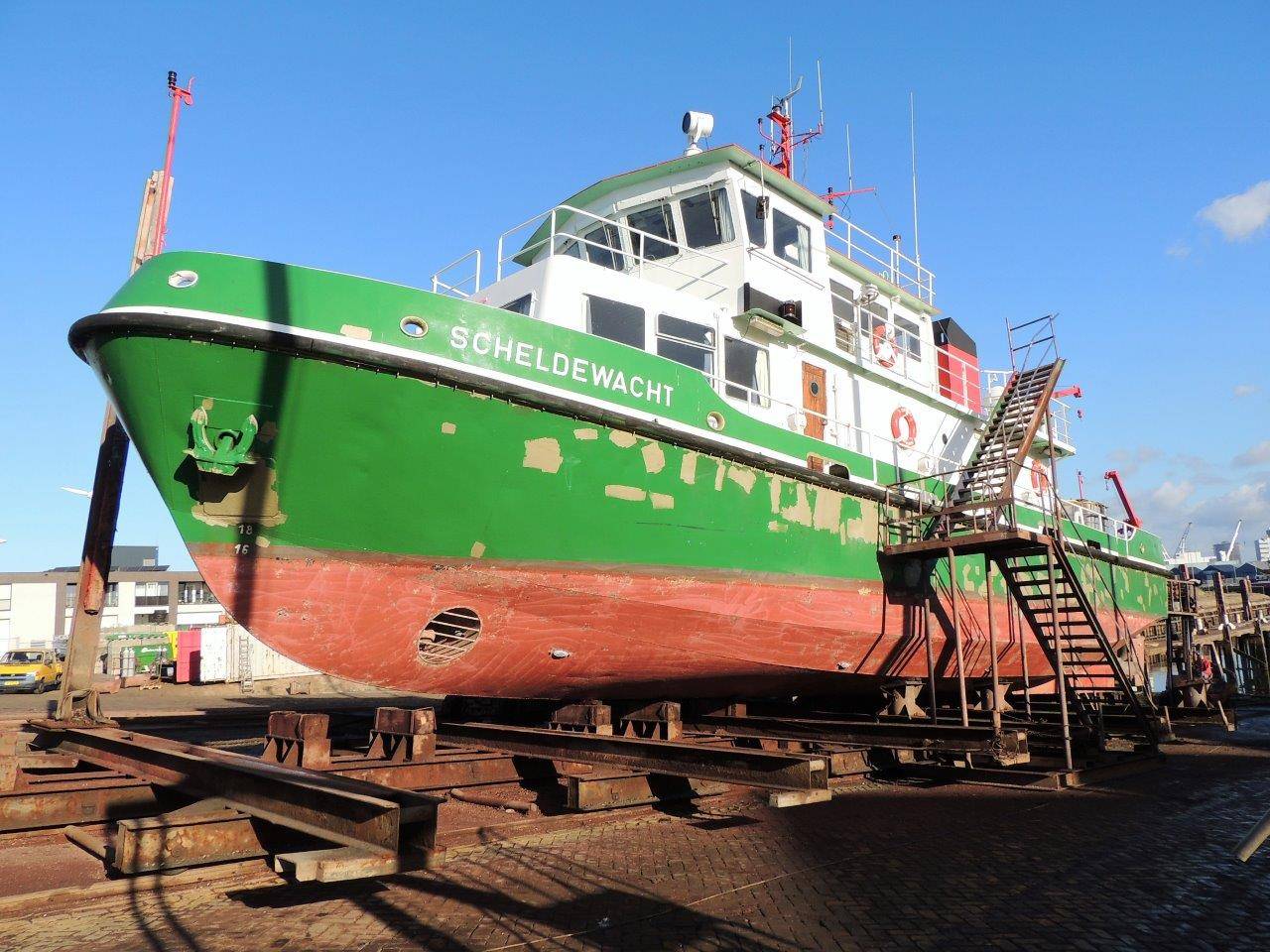 SCHELDEWACHT SCHELDEWACHT