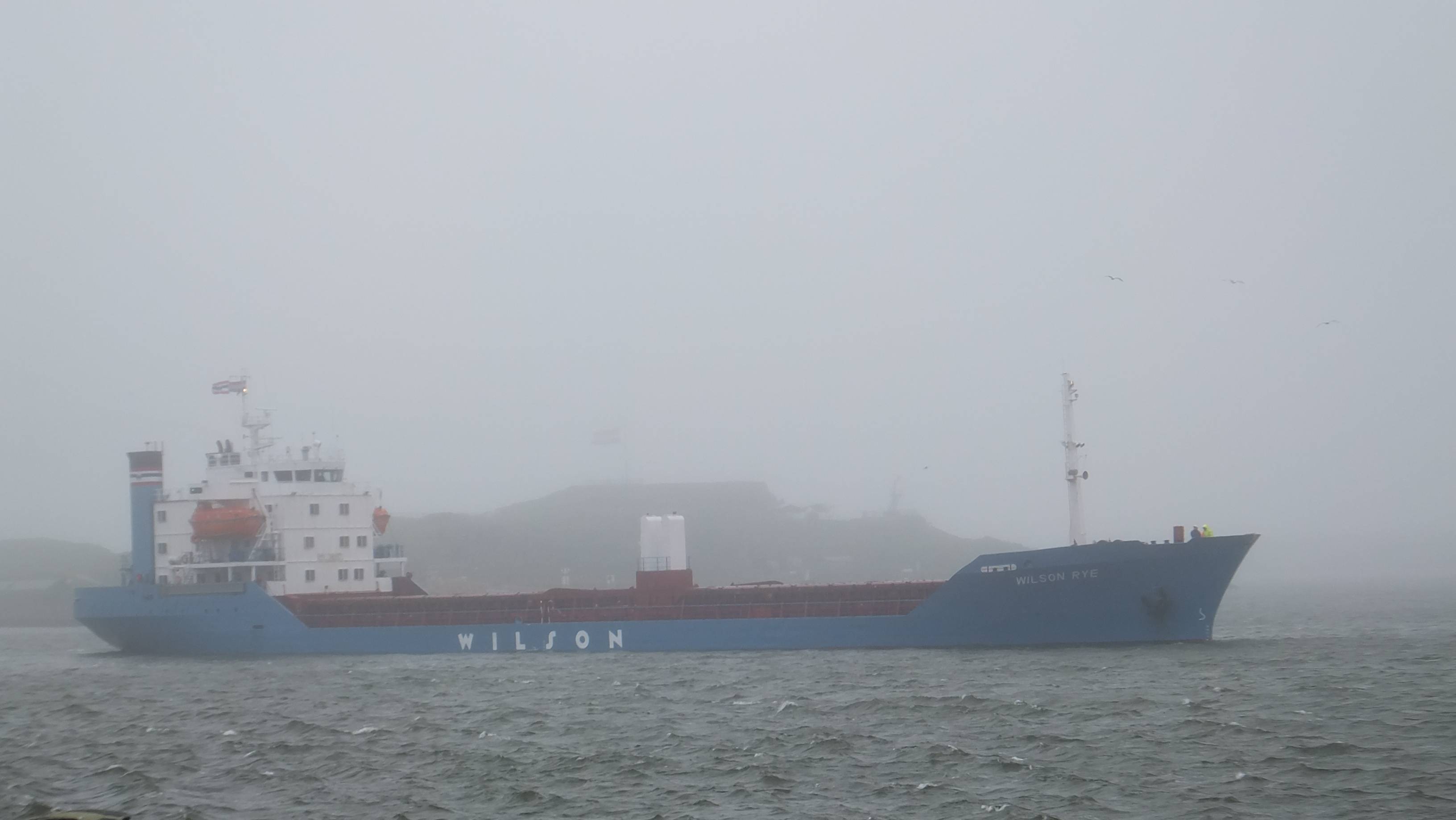 Wilson Rye Wilson Rye